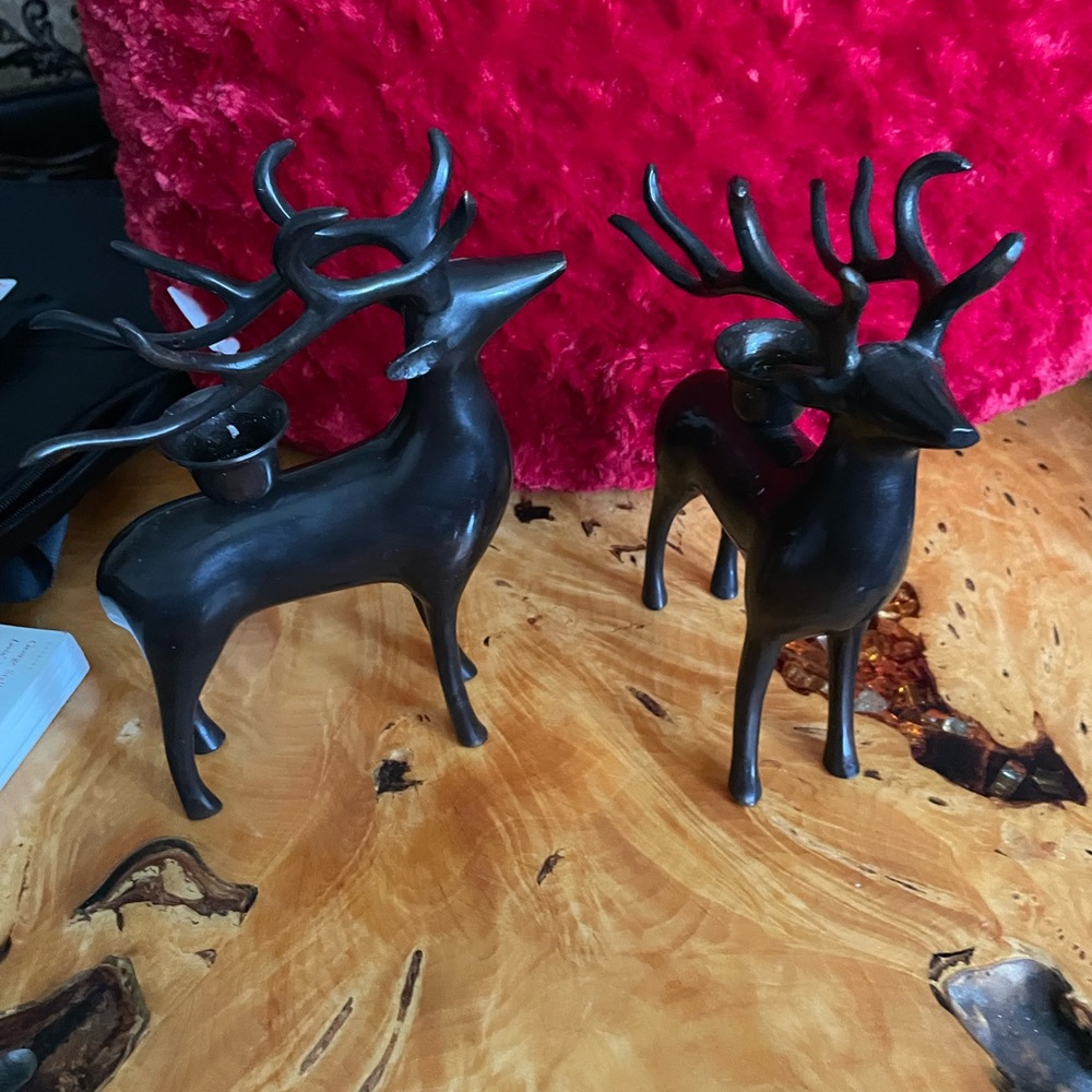 Standing Deer with Antlers

Unknown Artist